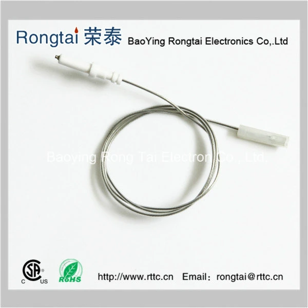 Ceramic Electrode for Gas Ignition