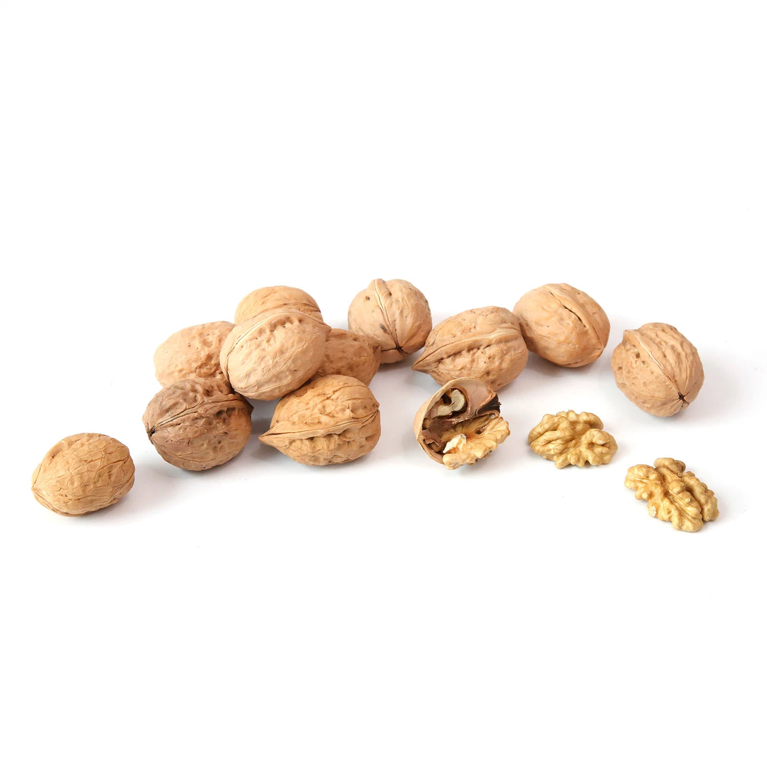 Ceviz Walnuts Xinfeng Walnut Inshell Xingfu China Dried Fruit Good Quality