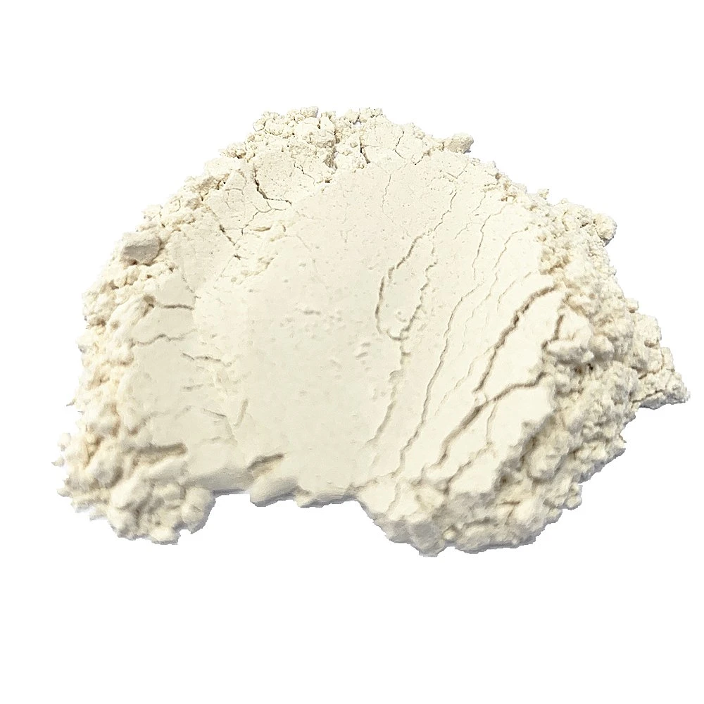 New Crop Air Dried White Garlic Powder