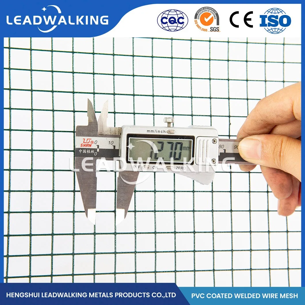 Leadwalking Geschweißte Drahtgitternetzplatten Fabrik Hochwertige Verzinkte Geschweißte Draht Netzing China 25.0X25.0mm Kunststoff PVC-beschichtet geschweißte Drahtgitter