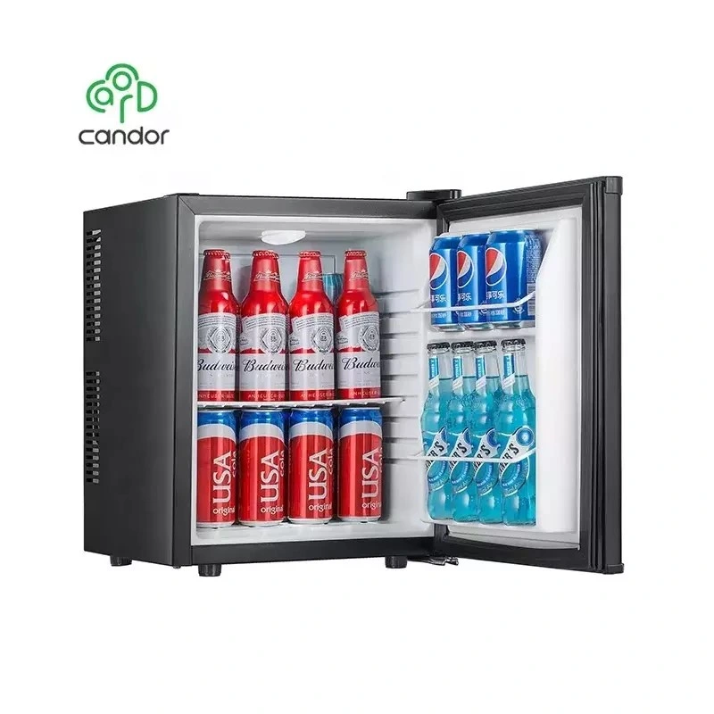 Thermoelectric Cooling Foamed Gl Factory Supply 26 Liter Minibar Electric Plastic Portable Compact Mini Bar Refrigerator