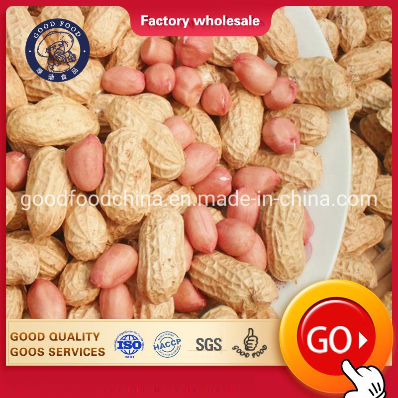 High Quality Raw Peanut in Shell From Supplier