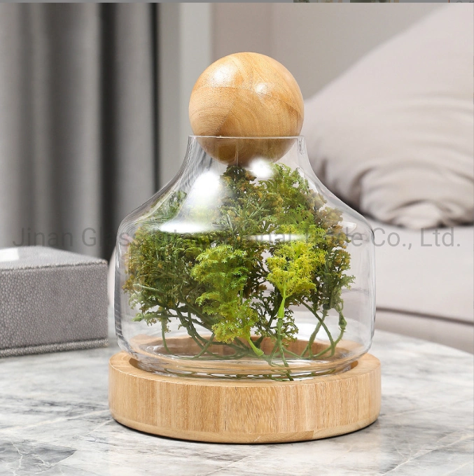 New Creative Modern Glass Vase Handicraft Immortal Flower Ornament with Wooden Ball Glass Storage Tank