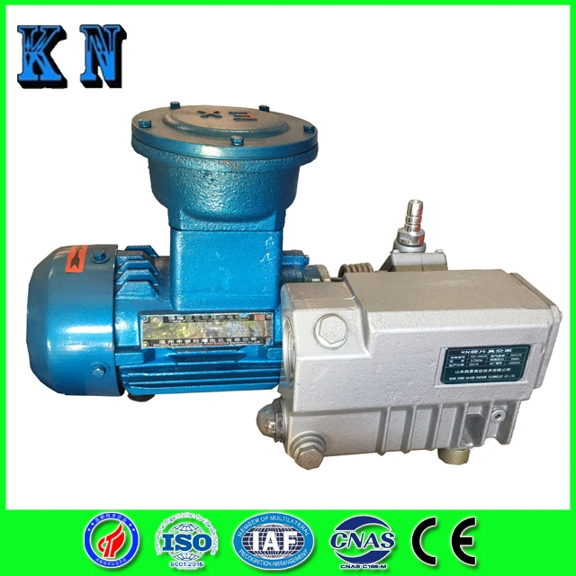 Rotary Vane Vacuum Pump for Vacuum Flame Refining to Be Used as The Front Pump to Get Higher Vacuum