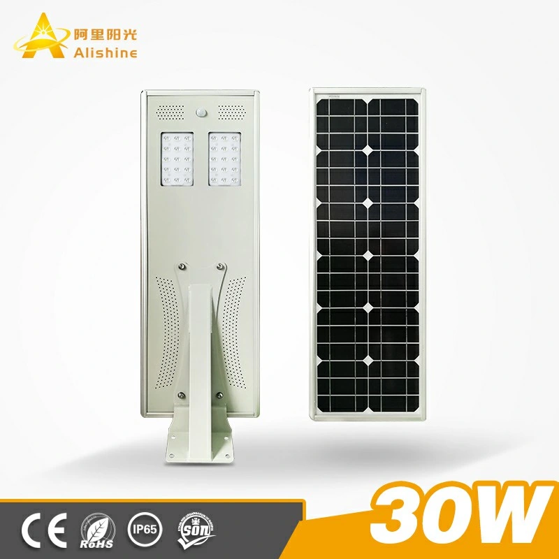 Sensor de movimiento de 30W de luz solar en una lámpara de exterior