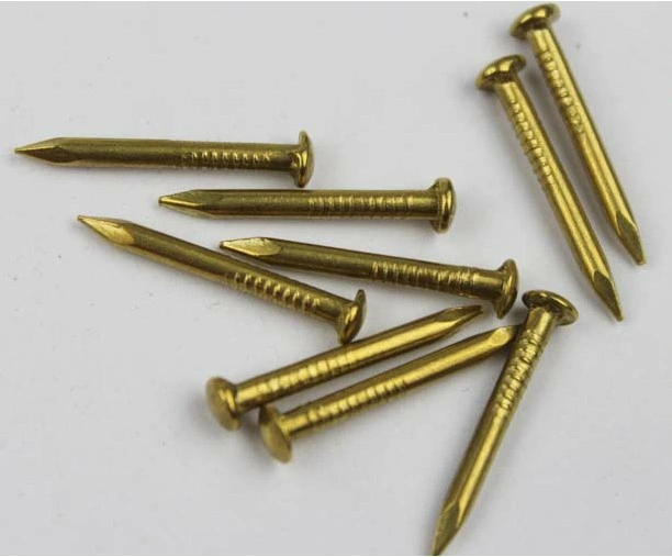 Made in China High quality/High cost performance  Brass Nail