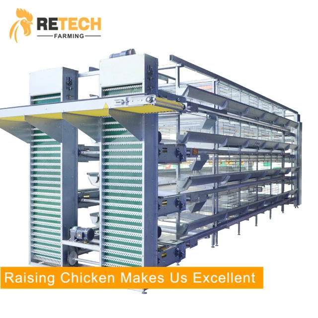 Retech Automatische Geflügelzüchtungs-Ausrüstung Chicken Layer Battery Cage