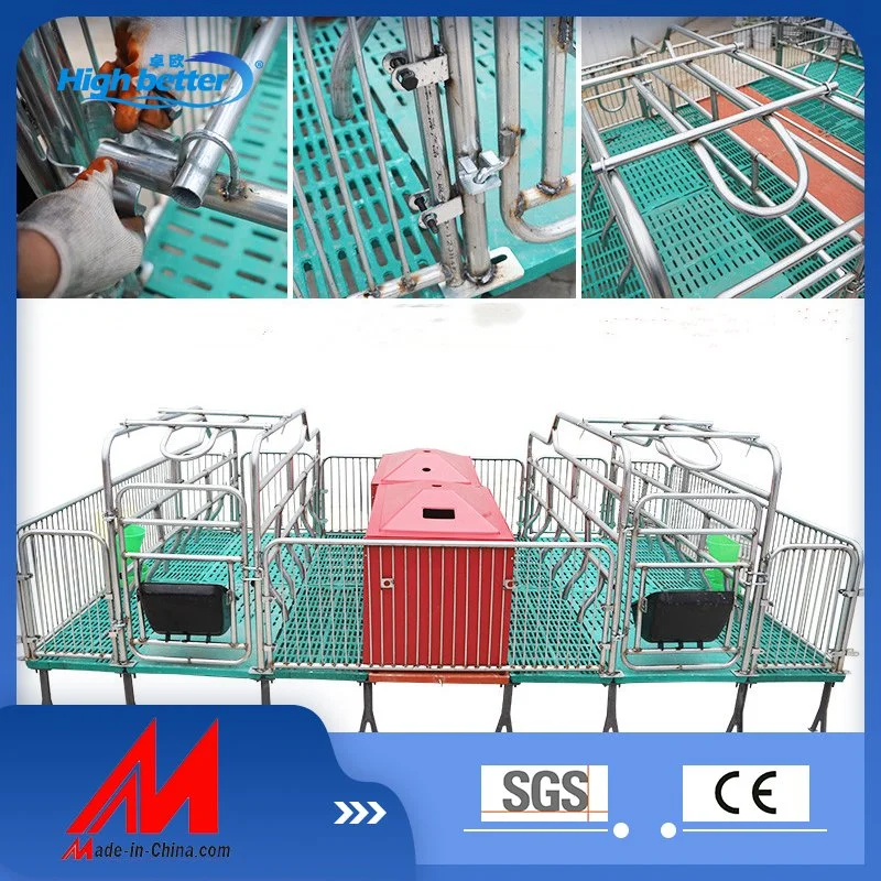 Galvanized Pig Farrowing Crates Pen Pig Flooring Stall Farrowing Bed Sow Equipment for 2023 Hot Sale