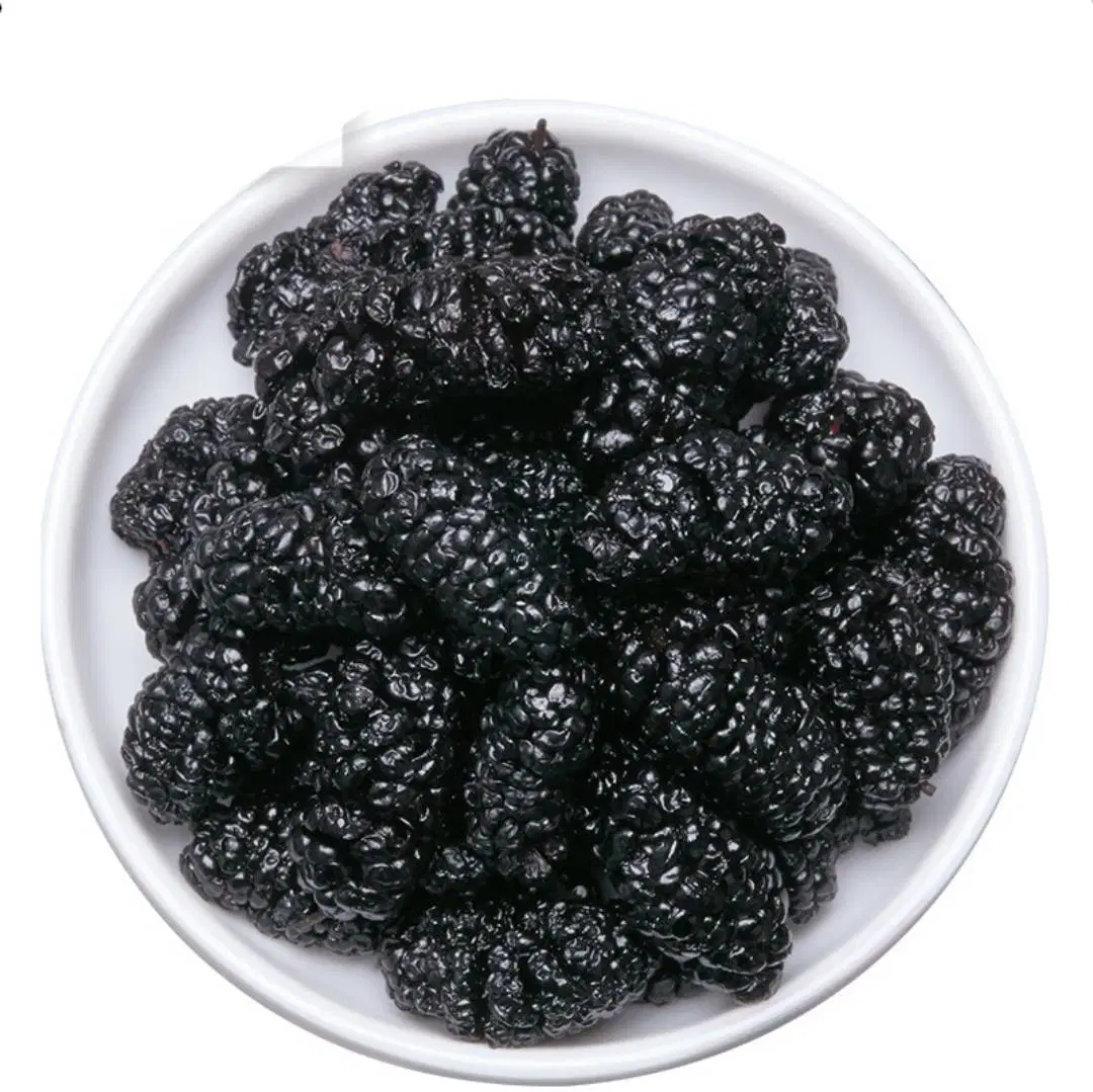 Hot Selling Food Grade Health Supplement Natural Dried Mulberries Fruit