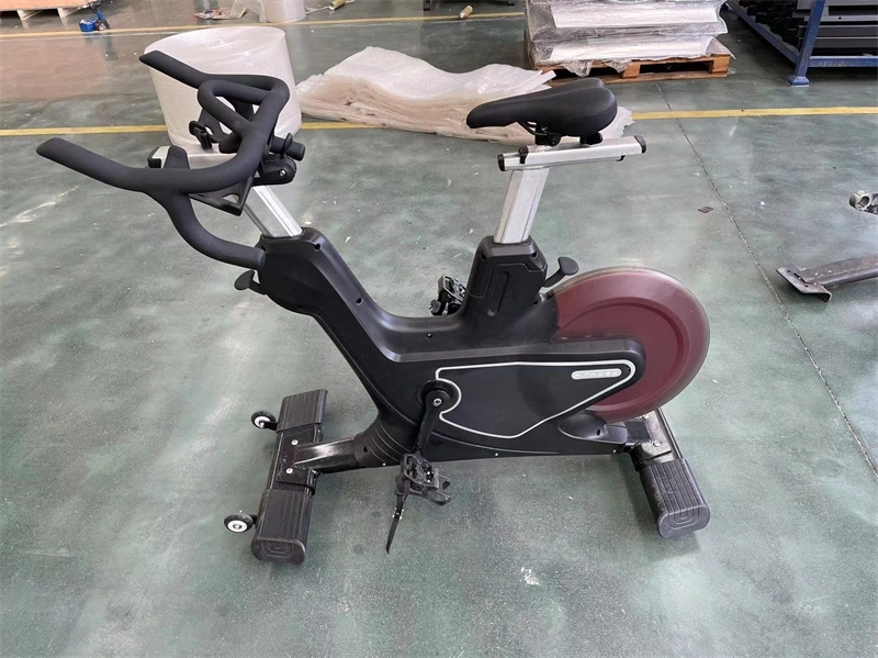 Factory Direct Supply Home Gym Cardio Magnetic Resistance Exercise Bike for Workout