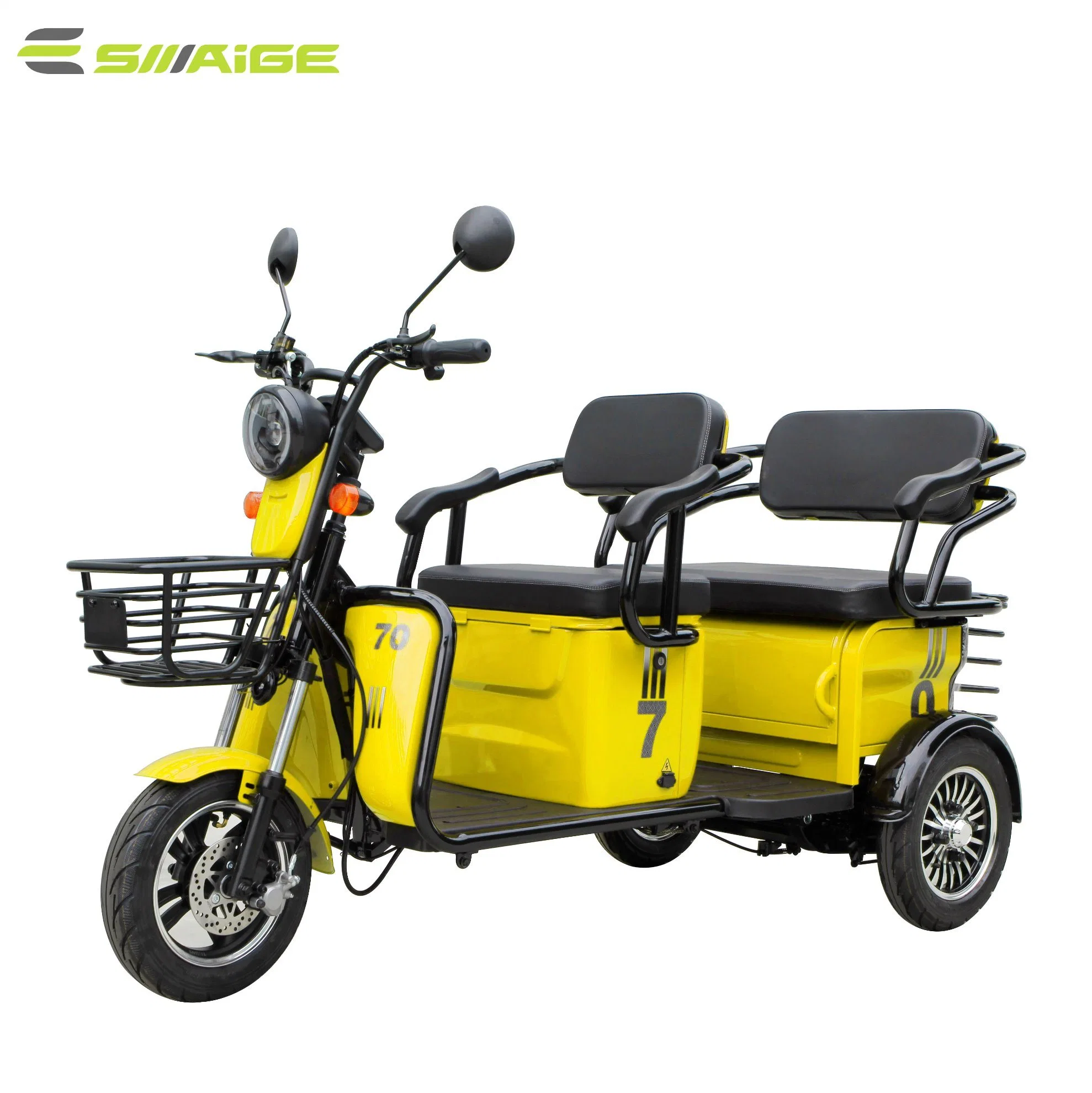 Disabled Elders Smart Passenger Electric Tricycle 60V1000W for Europe and America with EEC Trike and Lithium Battery Optional