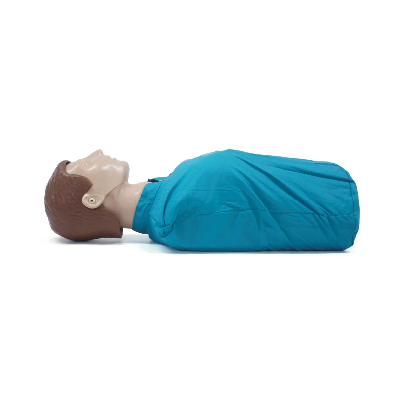 Wholesale/Supplier Half Body CPR Training Manikins Medical CPR Dummy Simple for CPR Practice