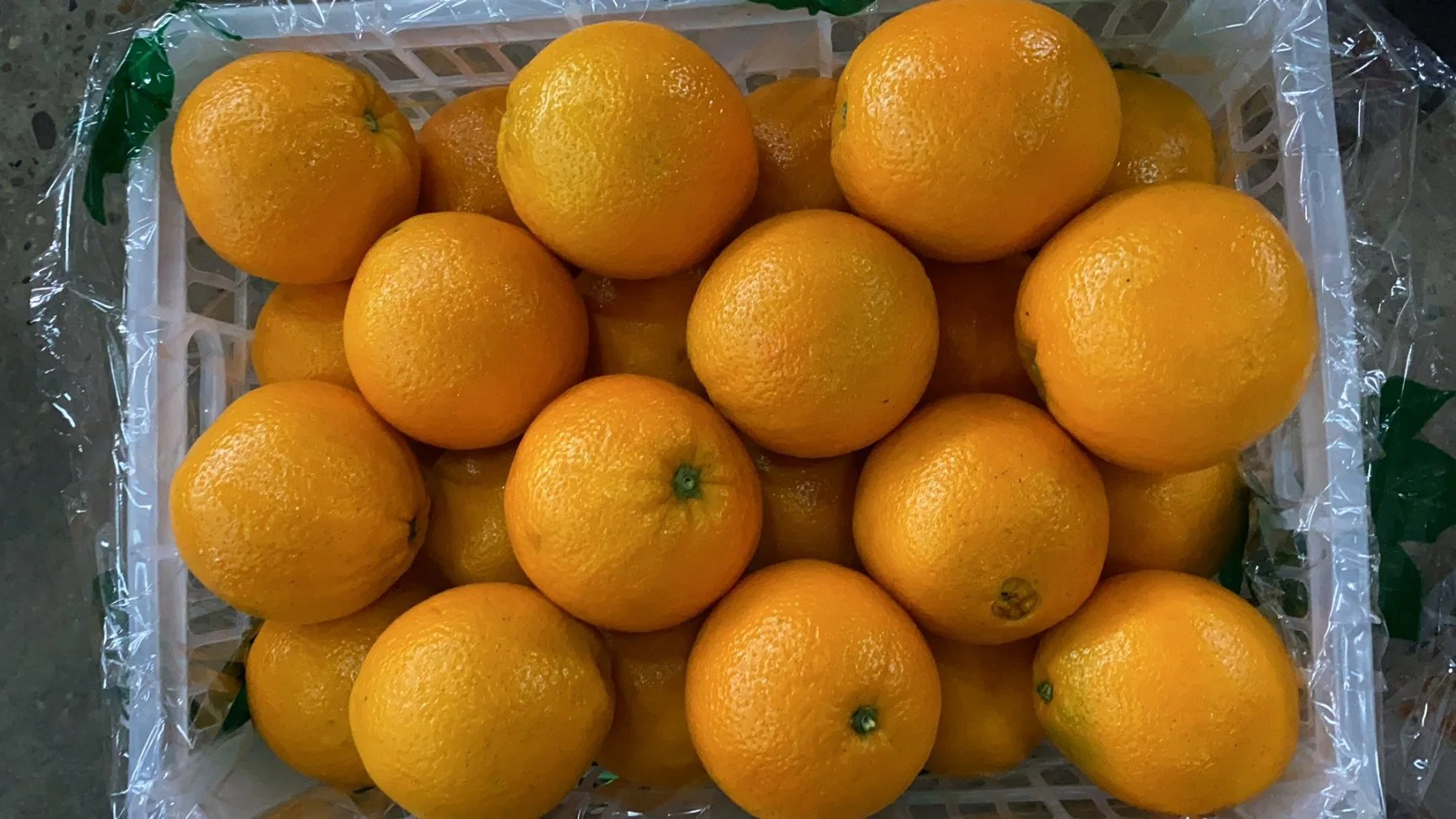 Los suministros de fábrica directamente para la exportación de naranja fresco