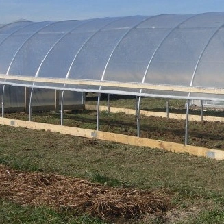 Po PE Tunnel Agriculture Forcing House Arch Greenhouse