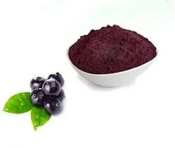 Bio Natürliche Acai Berry Frucht Reine Acai Berry Extrakt Pulver Anthocyanidine Konzentrat Saft Pulver