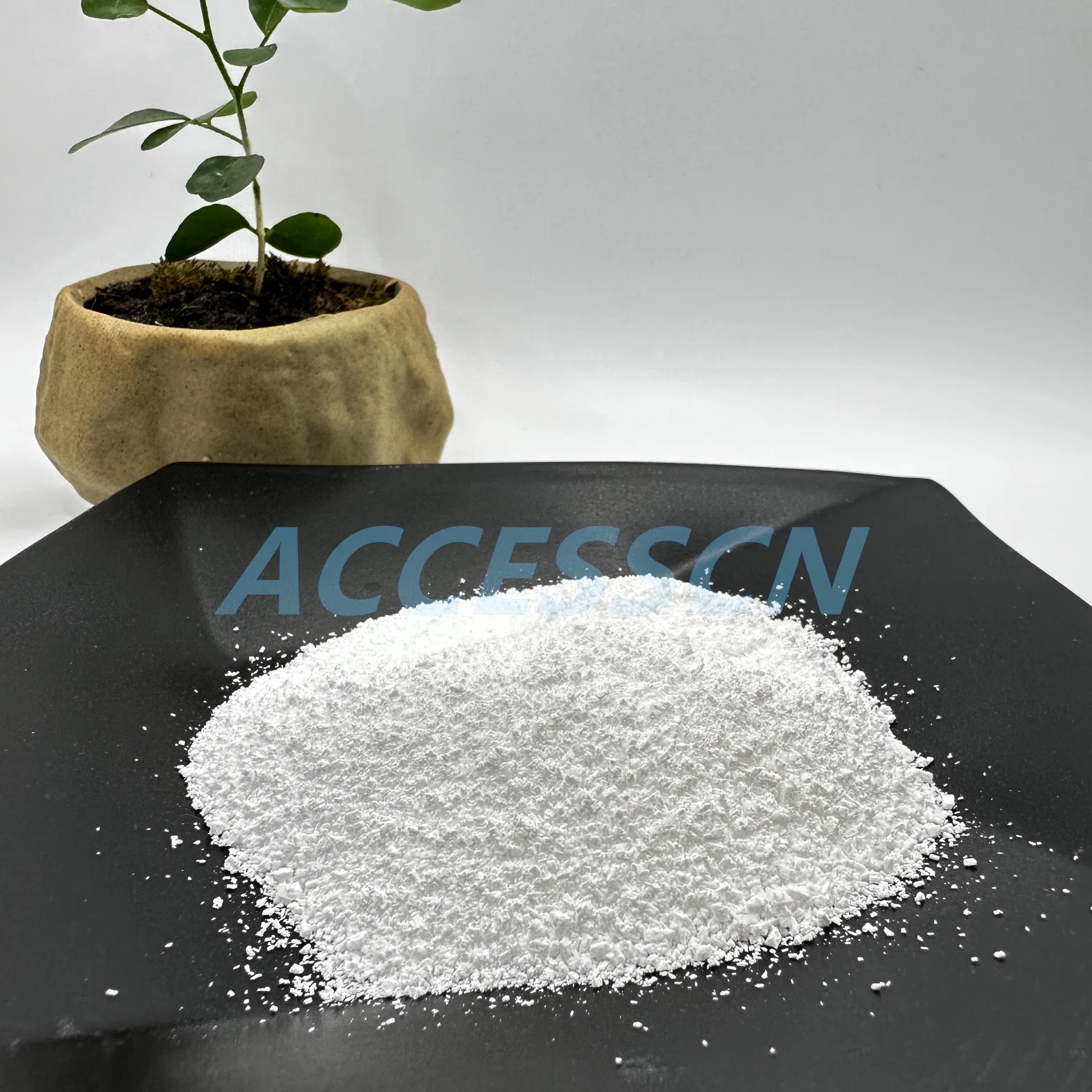 Best Supplier Food Feed Additive L-Lysine CAS 56-87-1