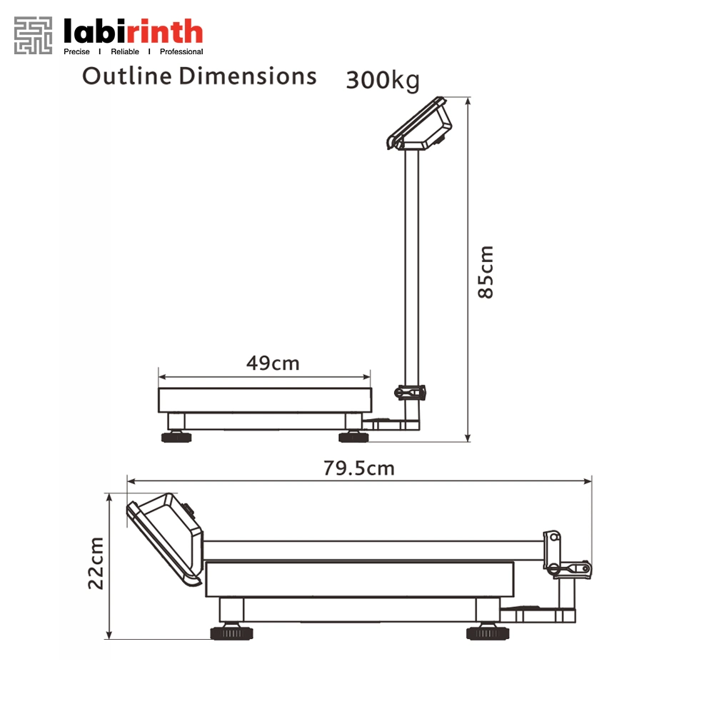 LCS 150kg 300kg Plataforma multifunción Digital CE balanza de acero inoxidable Báscula plegable impermeable