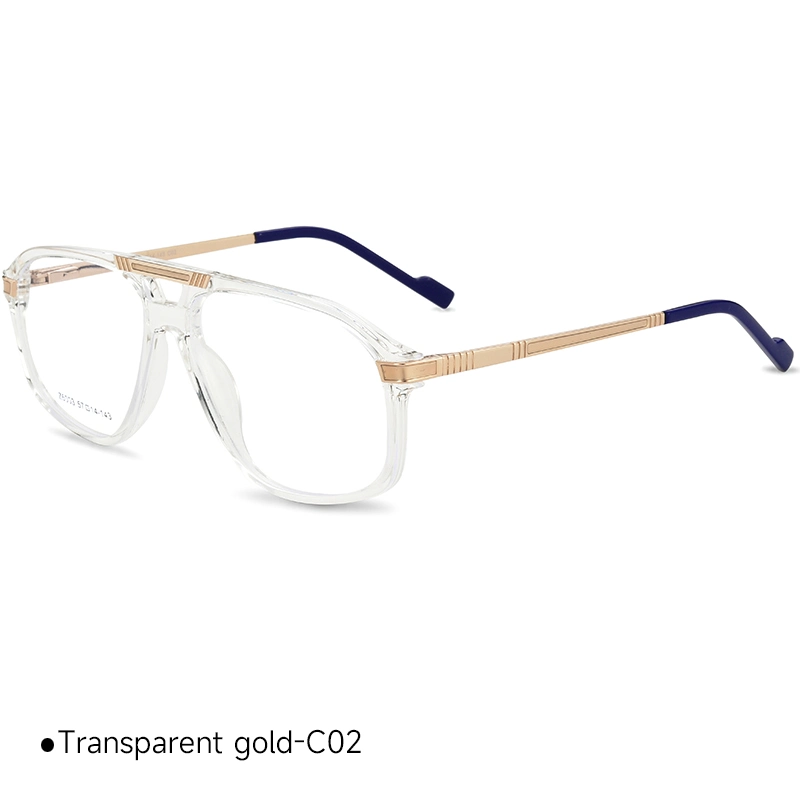 High quality/High cost performance  Double Bridge Tr Plastic Myopia Glasses Frames Eyeglasses Frames for Men