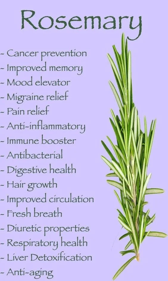 Rosemary Extract for as Antimicrobial Used in Health Food