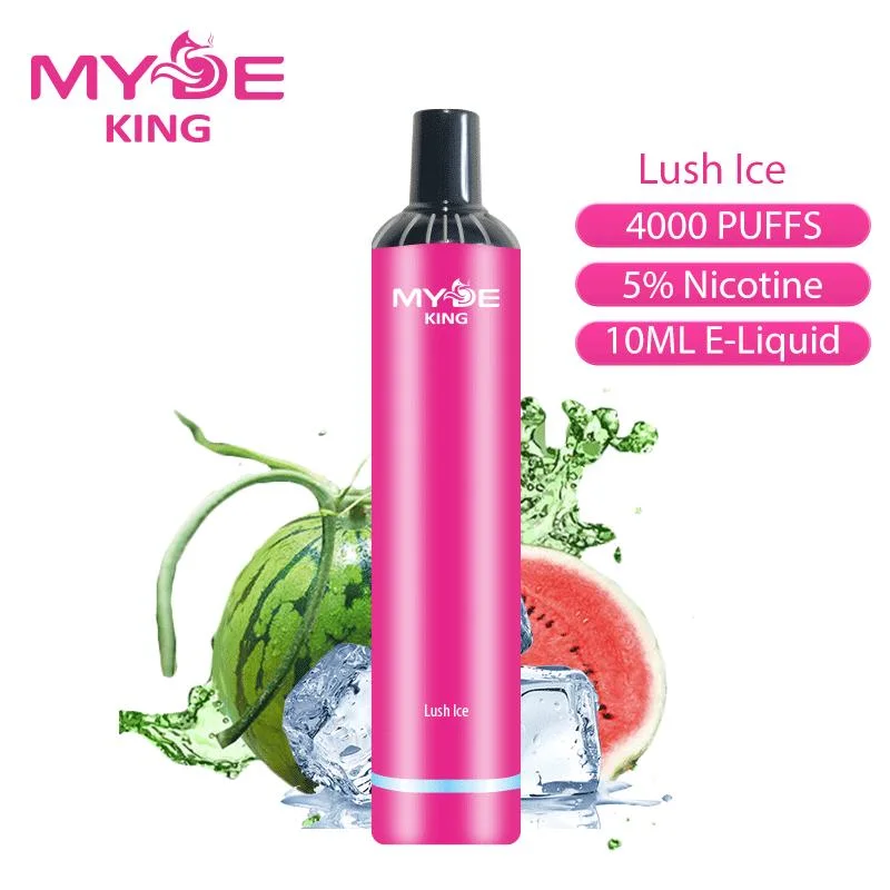 2022 Hotsale Vape Myde King 4000puffs Disposable/Chargeable E Cigarettes Wholesale/Supplierr with 12 Fruit Flavors