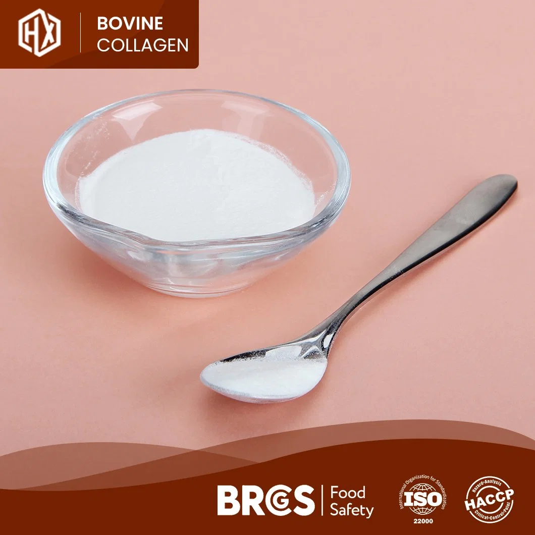 Haoxiang colágeno tipo 1&amp; 3 proteína Suplemento péptidos colágeno de alta calidad De Bovine Bone China Fabricantes One-Stop Servicio Collagen polvo con Proteína