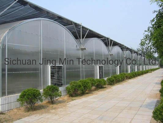 The Tunnel PE Film Green House with Factory Price