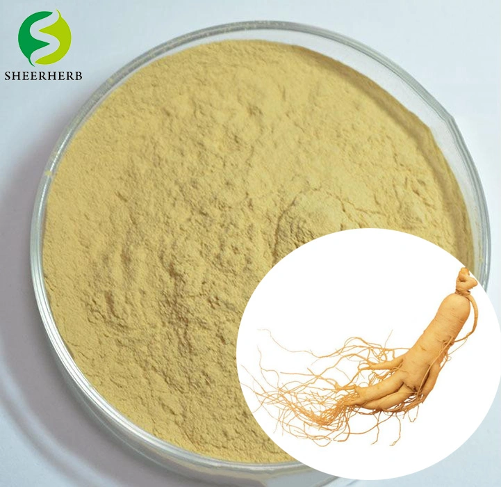 100% Natura Ginseng Root Powder Height Grade Panax Ginseng Extract