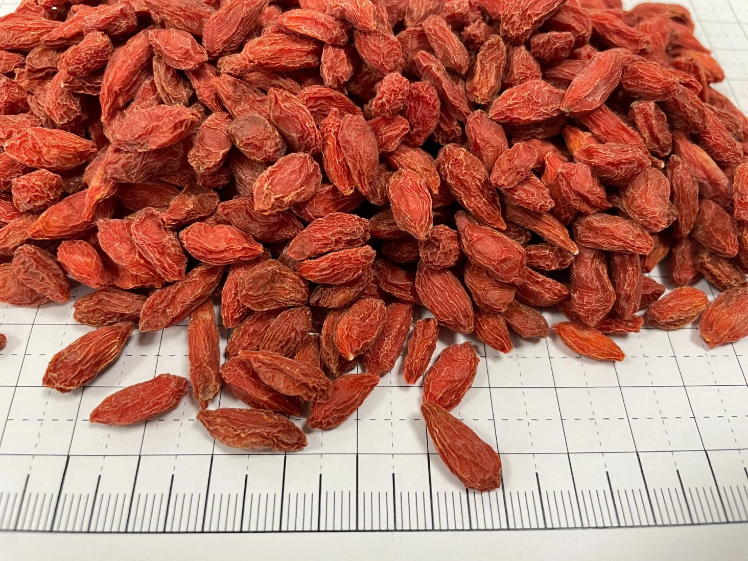 Hot Sale Chinese Traditional Dry Herb Goji Berry Wolf Berry