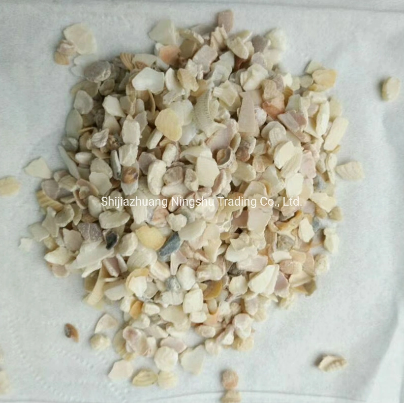 Natural Mop Mother of Pearl Seashell Chips for Terrazzo Tile