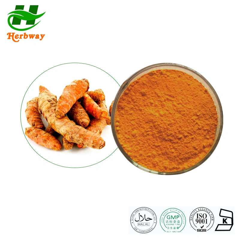 Wholesale Price Improving Blood Circulation Curcuma Longa Linn. Turmeric Root Extract Powder