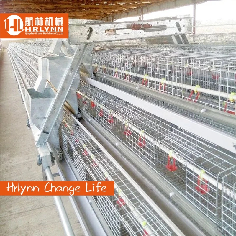 Poultry Farming Equipment 4 Tiers Fully Automatic Battery Layer Chicken Cage