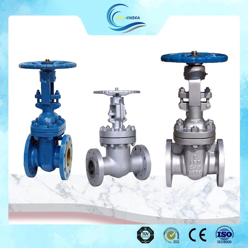 Manufacturers Gate Valve Pn16 Carbon Steel Casting and Body Price