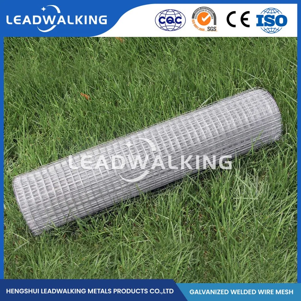 Leadwalking Plastic Welded Coated Wire Mesh Manufacturing Custom Square Welded Mesh China 1/2"X1/2" Inch Zinc-Coated Welded Wire Mesh for Fence