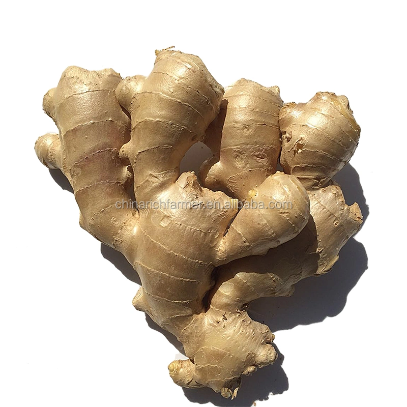 Air Dry Ginger Top Quality 200g Size Net Weight 5kg Box Under 15% Moisture