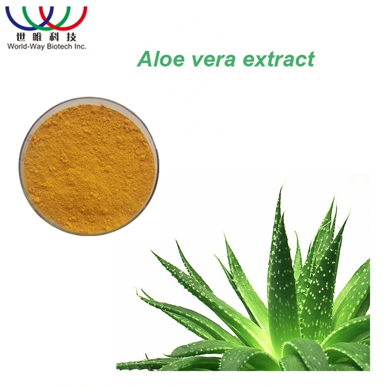 Polvo de extracto de Aloe Vera 200: 1