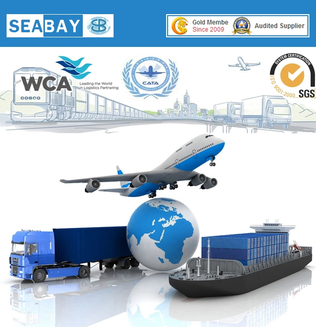 Professional Air Cargo Shipping to Penang or Dropship Malaysia Air Freight Logistics