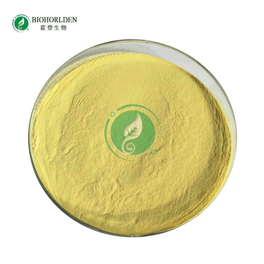 Pharmaceutical Wholesale/Supplier Price Amphotericin B CAS 1397-89-3 Veterinary Grade Raw Powder High Purity 99% Amphotericin