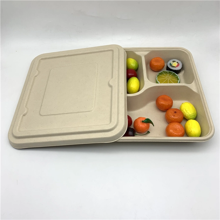 Tableware Set 3 Compartments Bagasse Food Tray with Lid