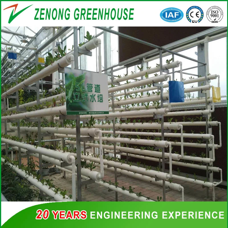 PVC Pipe Model Vertical Hydroponics System for Leaf Vegetables