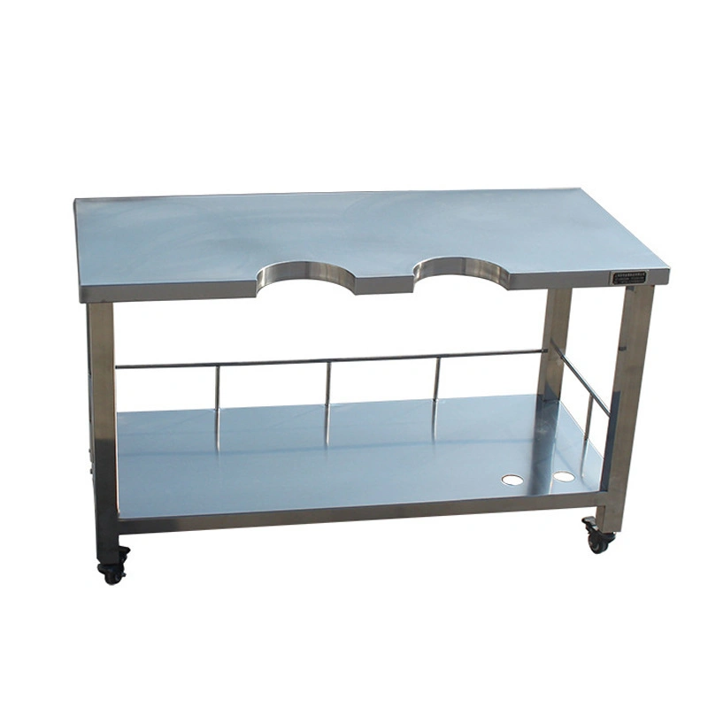 Professional Animal Grooming Table Veterinary Surgical Table