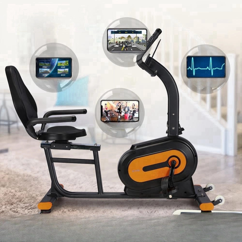 Silent Interior Home Gimnasio cardio ejercicio asiento respaldo Ciclismo Fitness Bicicleta