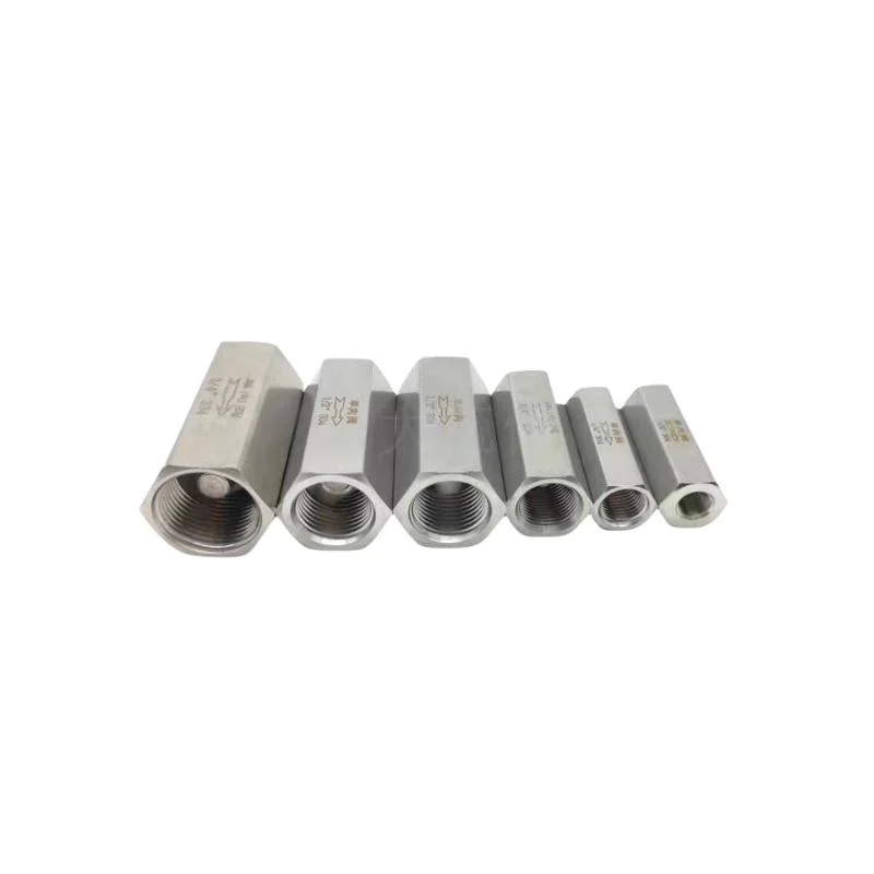 Stainless Steel Female Thread Check Valve High Pressure