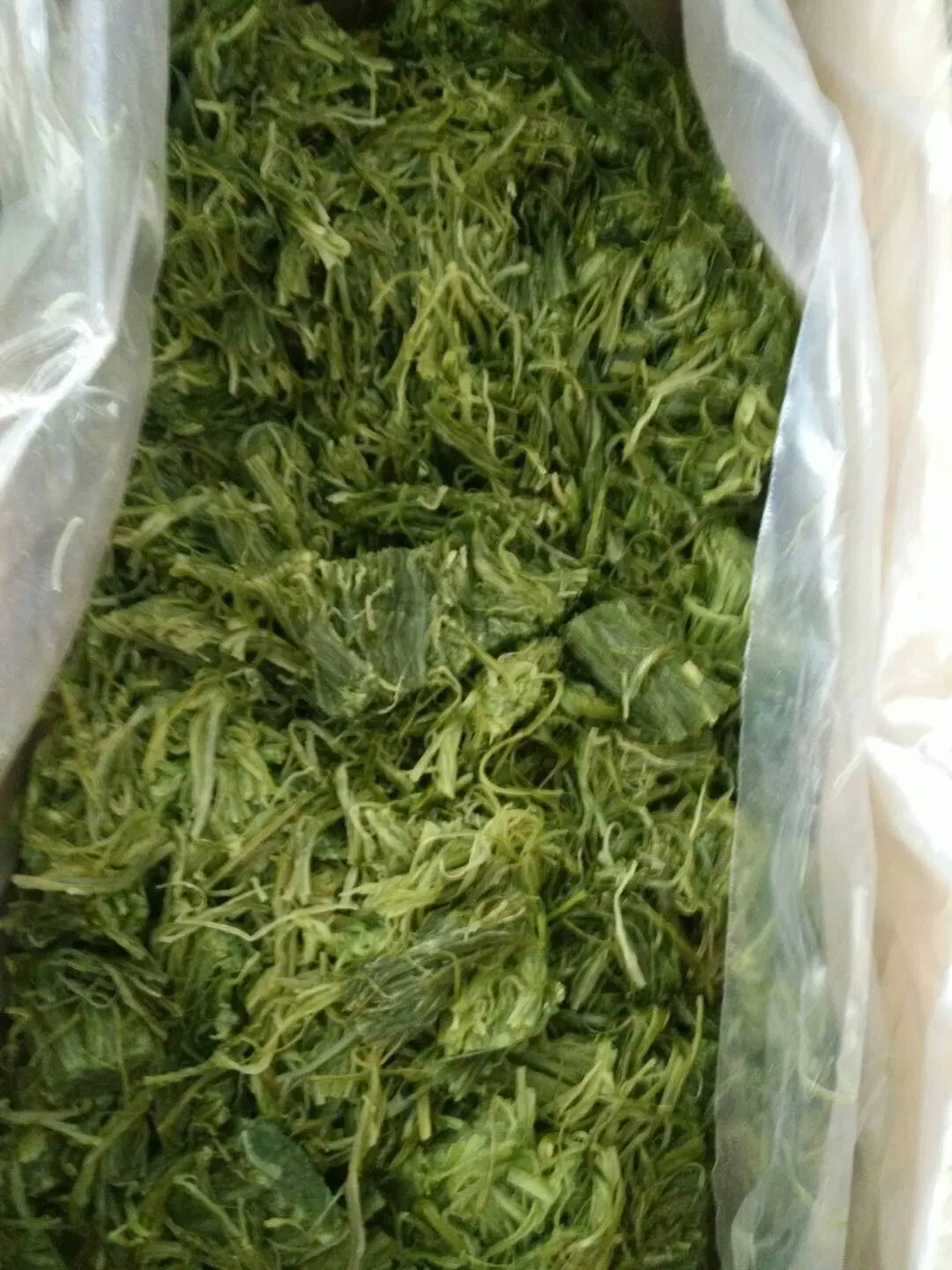 Novo Corte Alga Marinha Congelada Talo de Wakame Wakame Desfiado