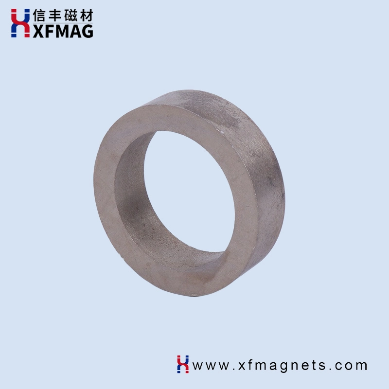 Customized Size Rare Earth Permanent Strong Magnetic Material SmCo Magnet Ring