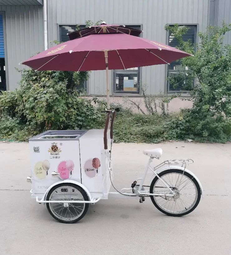 Jekeen Cheap Mobile Electric Food Bike Ice Cream Bike Padelling Tricycle