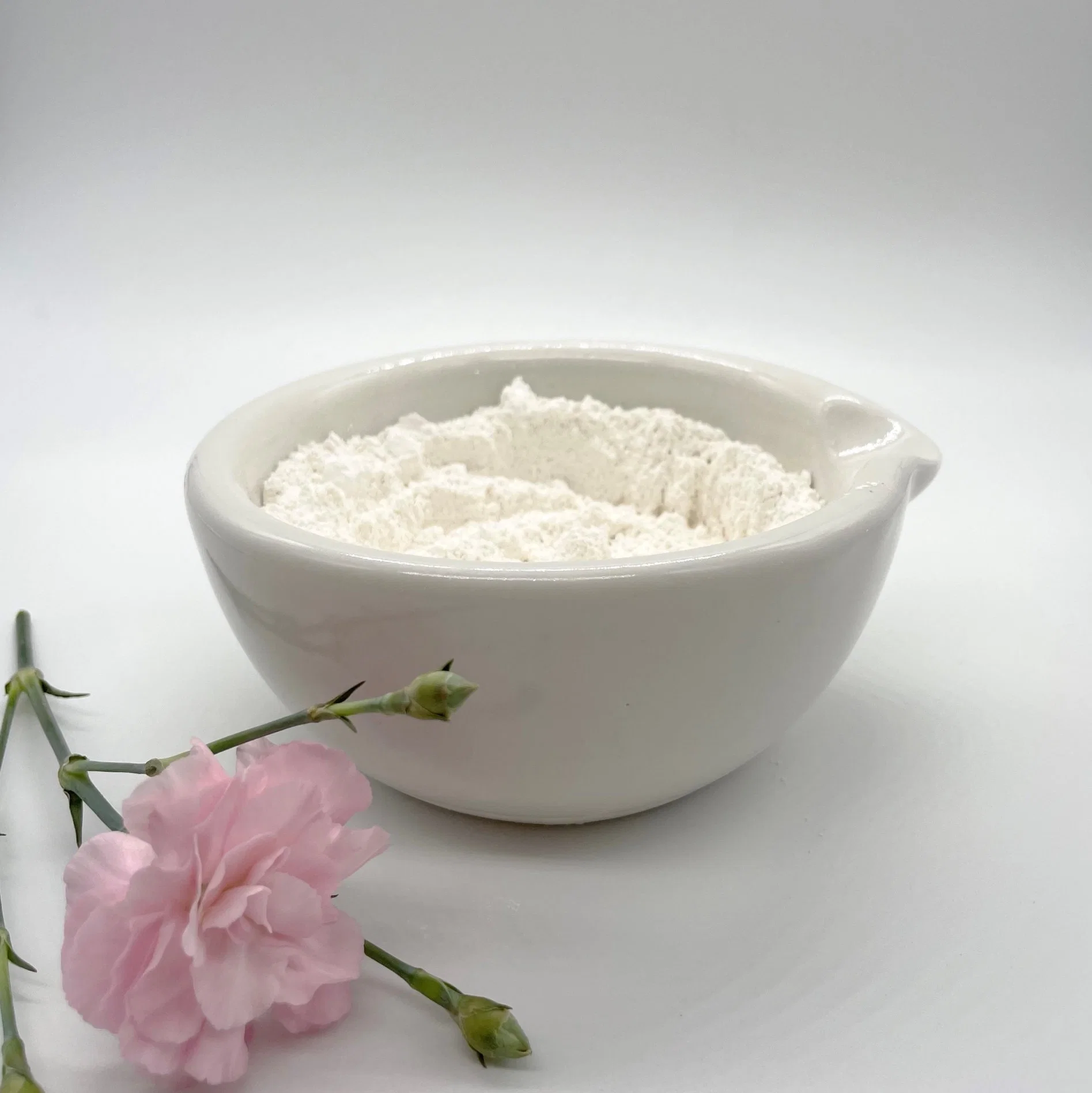 High Quality Magnesium Hydroxide CAS 1309-42-8 Phara Grade/ Industrial Grade /Food Grade