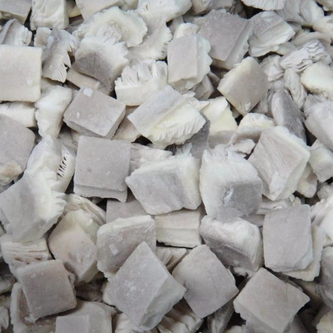 Frozen IQF Oyster Mushroom Frozen Food Vegetables Canned Health Fresh Food