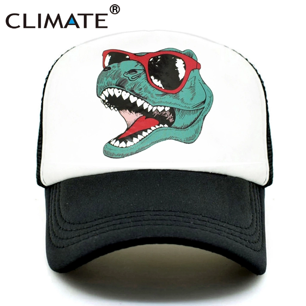 Wholesale/Supplier Funny Cool Unisex Trucker Baseball Sport Cap Hat