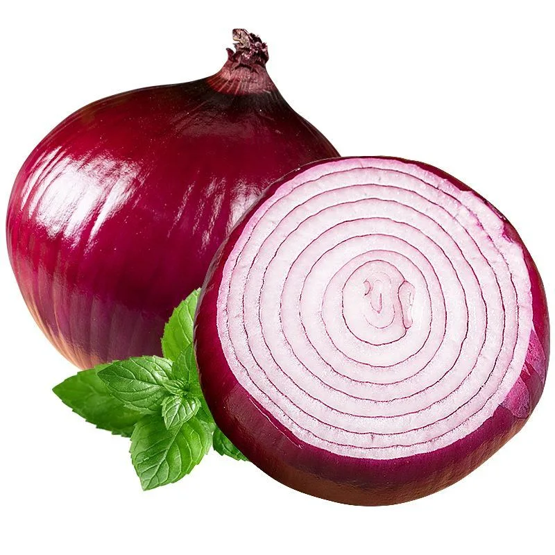 Red Onion Ginger Garlic Fruit Fresh Vegetables Onion with ISO HACCP Certification Mesh Bag 5kg 10kg Wholesale/Supplier