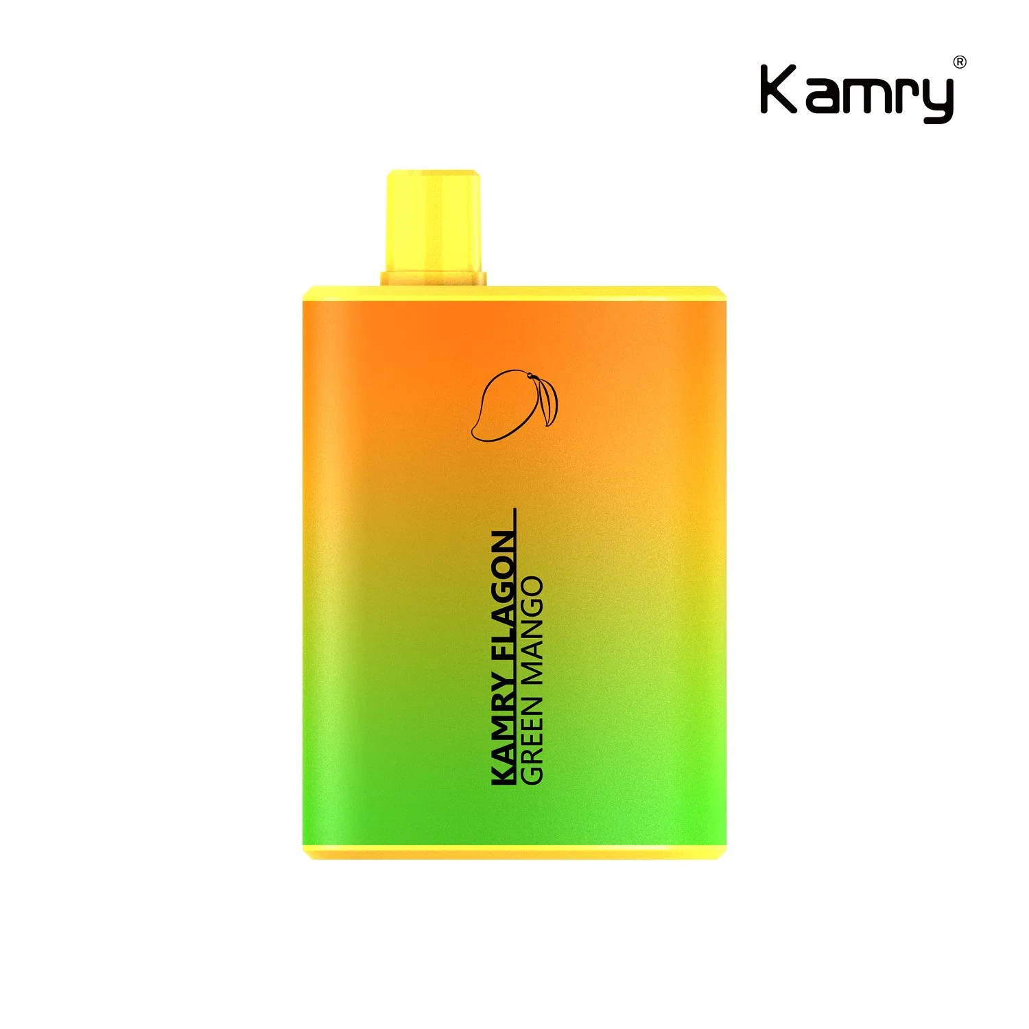 Flagon Kamry Randm 0 % 2% 5% 6000 puff grandes desechables de humo de cigarrillos E MOQ 100 en stock